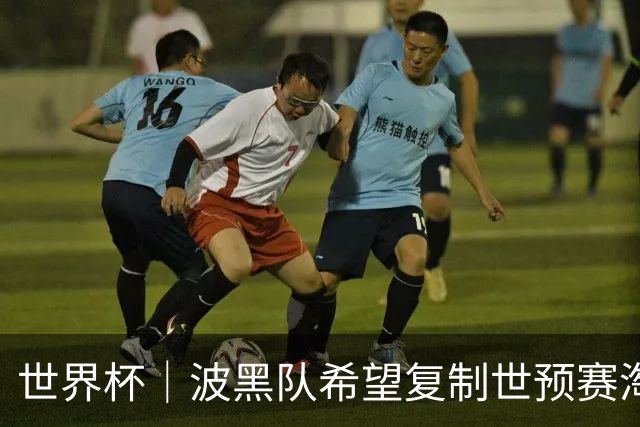 世界杯｜波黑队希望复制世预赛淘汰意大利队的奇迹