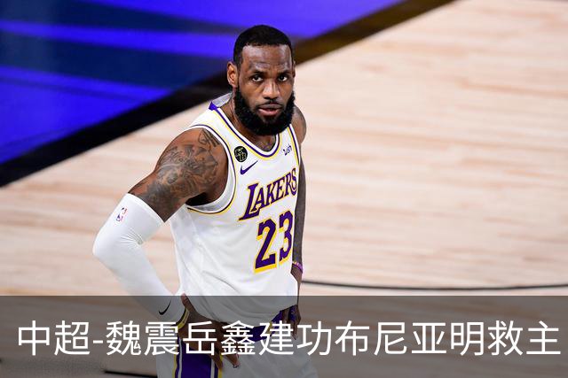 中超-魏震岳鑫建功布尼亚明救主 玉昆4分钟连扳两球2-2海港