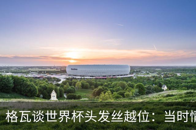 格瓦谈世界杯头发丝越位：当时情绪完全混乱，那种情况真是荒谬