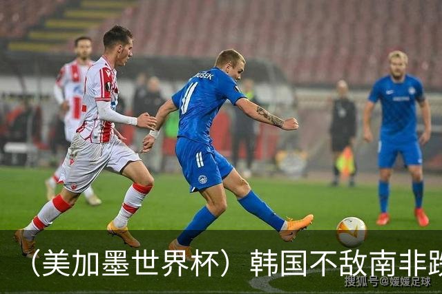 （美加墨世界杯）韩国不敌南非跌至小组第三 出线前景待定